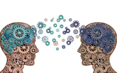 University: What can I study?